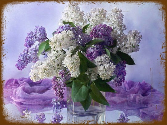 Lilac Flowers Retro style wall signs - Retro Shop NL