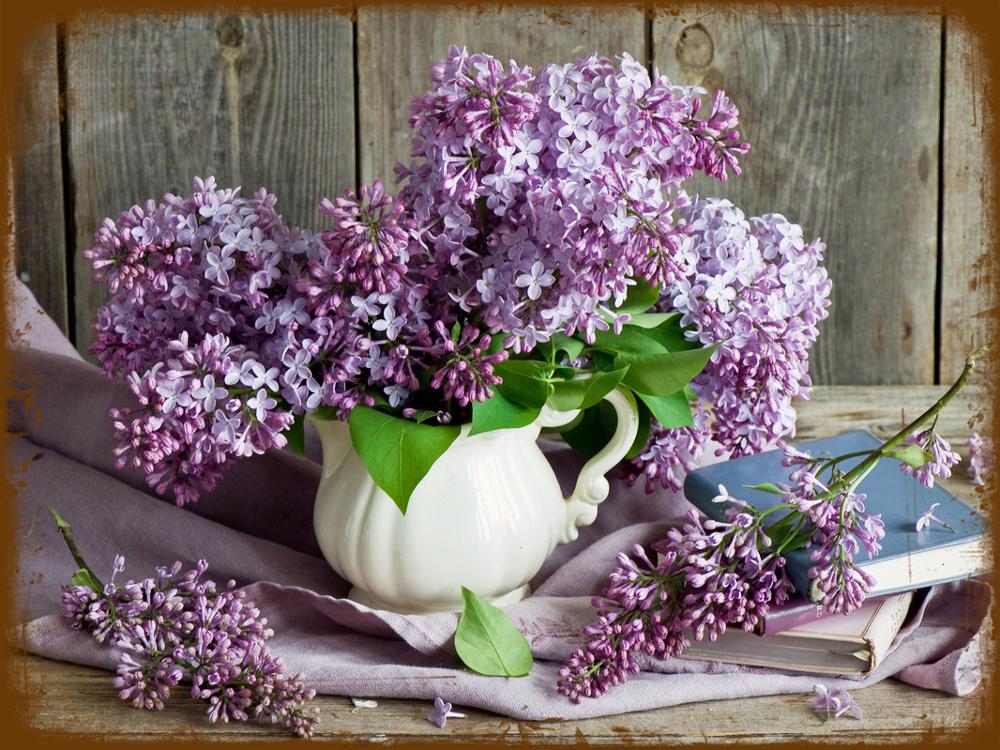 Lilac Flowers Retro style wall signs - Retro Shop NL